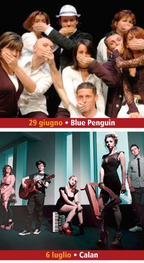 Blue Penguin - Calan